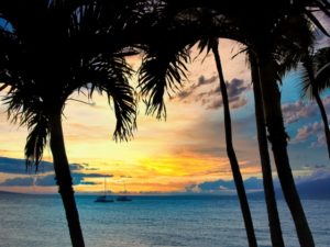 ハワイ案件面談お申し込み